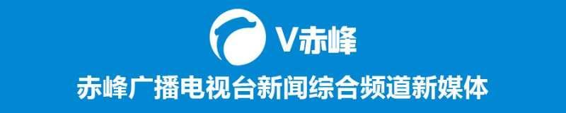 肉牛养殖致富项目_致富养殖肉牛项目怎么样_致富经肉牛养殖场的视频