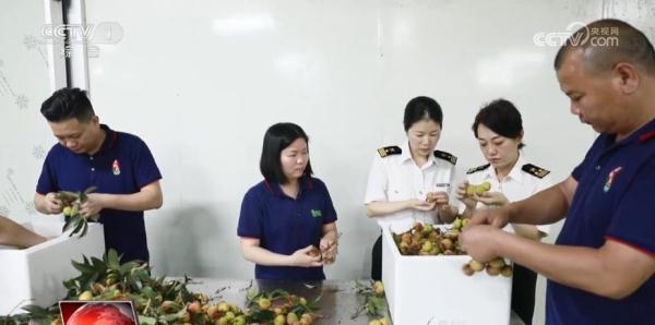 特色种植致富果_致富种植果特色有哪些_致富种植果特色是什么