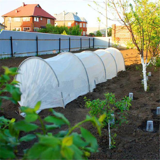 蔬菜栽培技术全集视频教程_蔬菜种植技术视频播放_无土栽培蔬菜种植技术视频