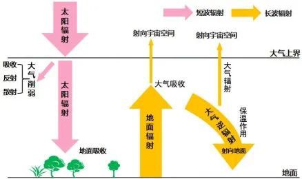 蔬菜种植技术视频播放_蔬菜栽培技术全集视频教程_无土栽培蔬菜种植技术视频