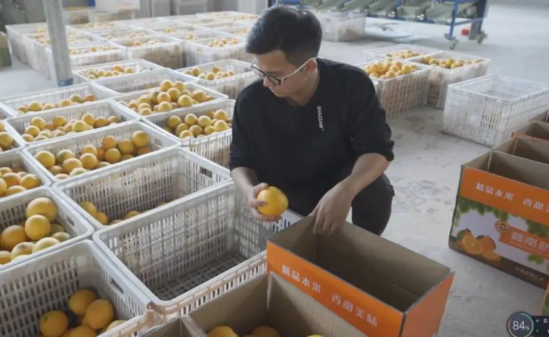 致富经火龙果种植视频_致富经火龙果视频_致富经火龙果