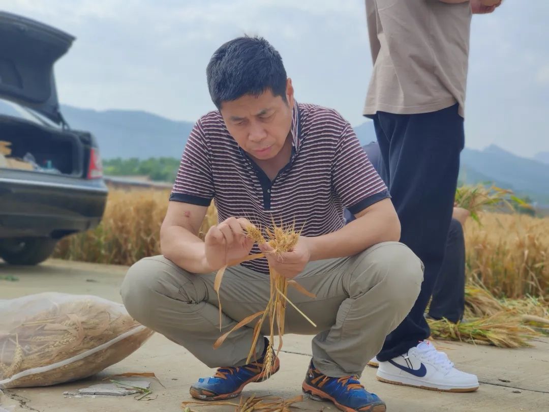 致富经农业种植_农民致富种植项目_北京农民种植致富