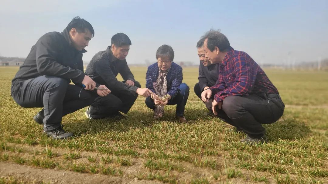 北京农民种植致富_致富经农业种植_农民致富种植项目