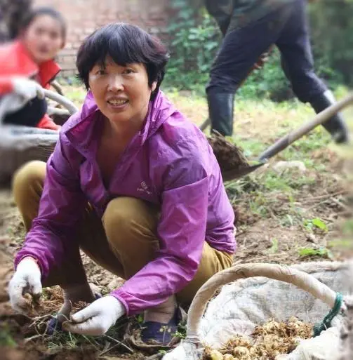 致富经种植亩收入过亿_致富经农业种植_北京农民种植致富