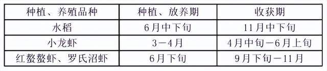 稻田鳖虾养殖技术_稻田养虾技术视频_虾养殖稻田鳖技术要点