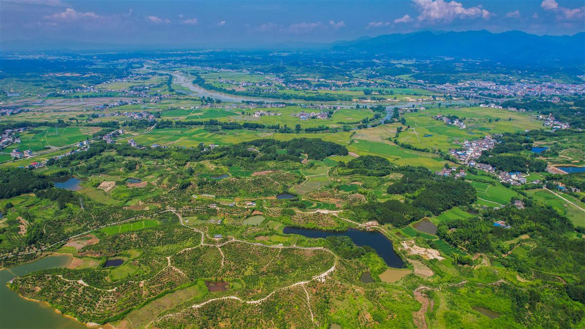 荆楚地理|幕阜山北麓，30万亩油茶正诉说着丰收的喜悦