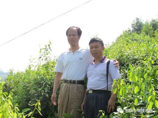 四季蒜苗种植致富_泥巴种植致富方法_农村种植致富好项目