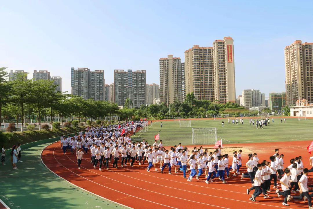 高中经验交流发言稿_高中经验分享演讲稿_优质高中学习经验