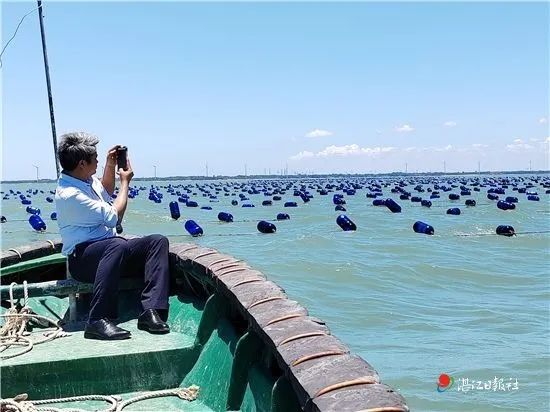 养殖生蚝致富_养殖生蚝的成本和利润_致富养殖生蚝怎么样