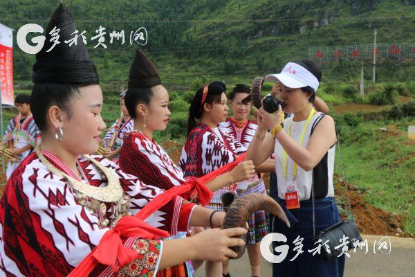 广东红薯苗基地_广东红薯种植时间_广东红薯种植致富