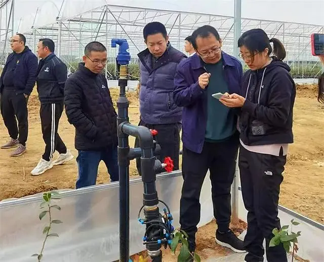 致富种植农业最新项目有哪些_农村致富项目种植业_最新农业种植致富项目