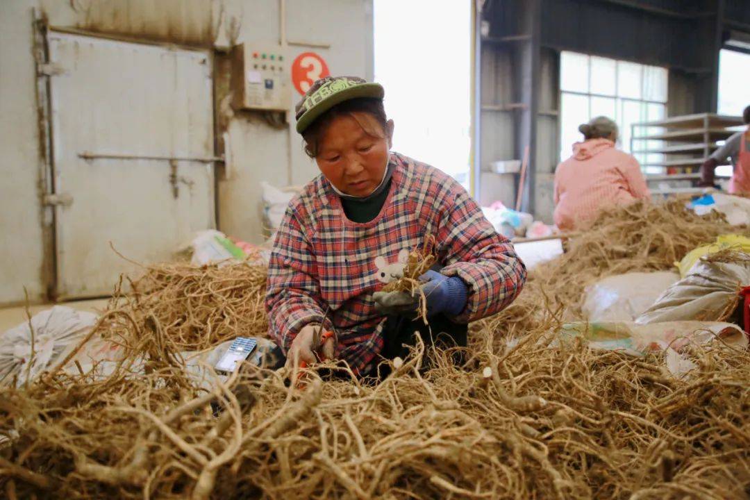 致富种植特色方法图片_种植致富业_特色种植致富方法