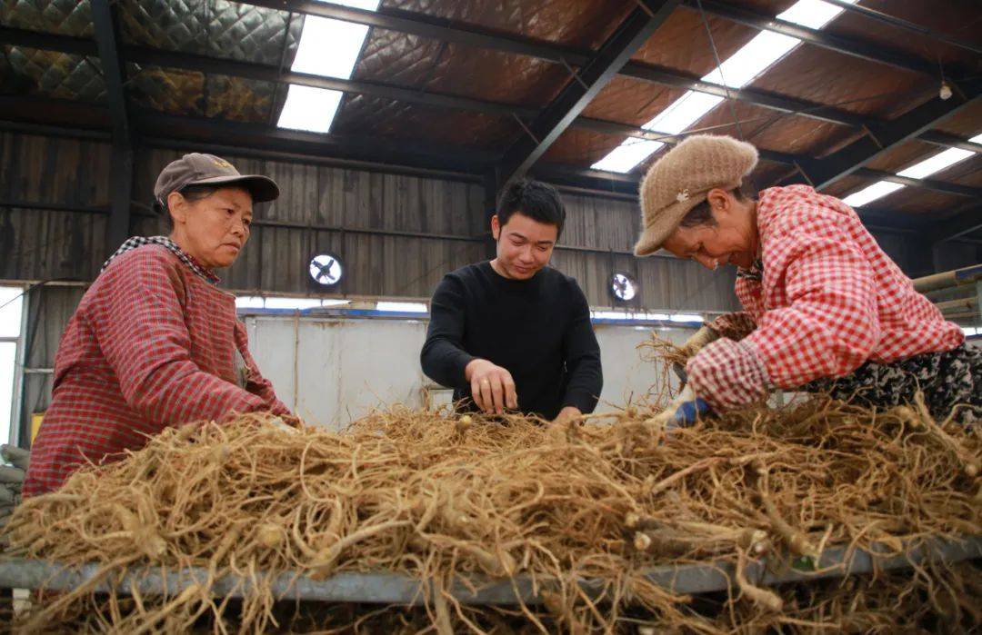 特色种植致富方法_致富种植特色方法图片_种植致富业