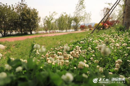 东港种植致富_东港种植致富_东港种植致富