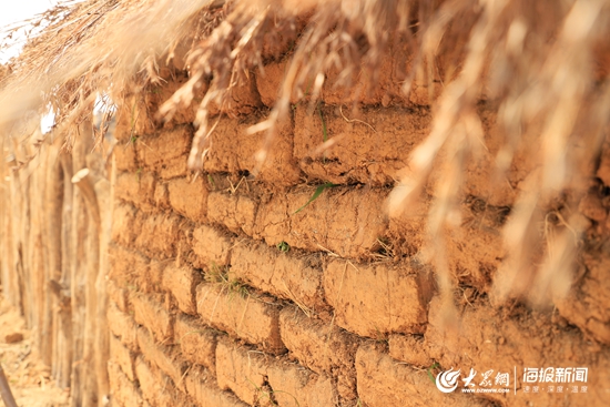 东港种植致富_东港种植致富_东港种植致富