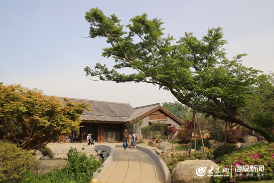 东港种植致富_东港种植致富_东港种植致富