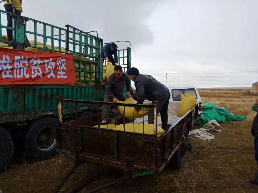 致富种植特色方法图片_特色种植致富方法_致富种植特色方法有哪些