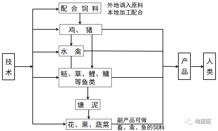 养殖鱼塘技术人员_养殖鱼塘人员技术要求_鱼塘养殖技术管理