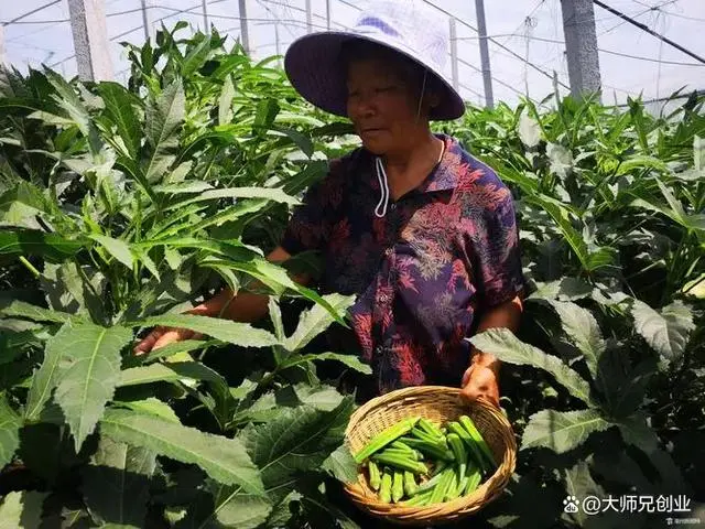 致富种植特色方法有哪些_致富种植视频全集_特色种植致富方法