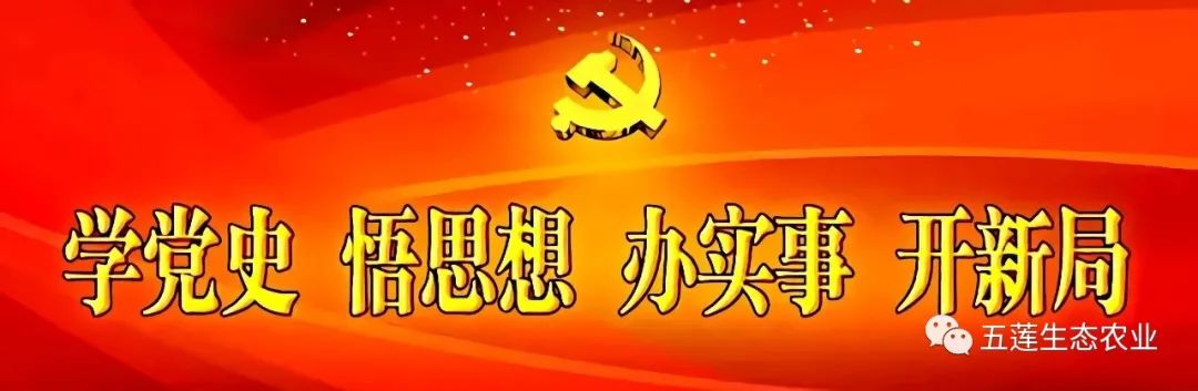 养殖鱼塘技术人员_养殖鱼塘人员技术要求_鱼塘养殖技术指导