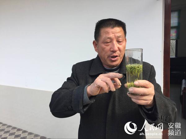 岳西茶乡致富带头人罗华保：念好“茶叶经” 走上致富路