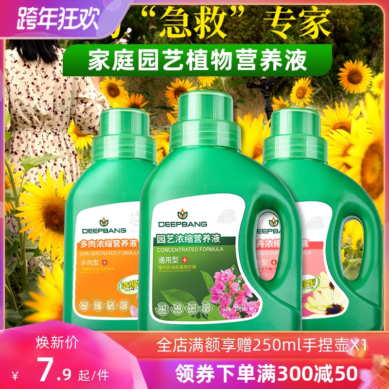 种植致富花_种花致富选什么品种_种花致富经