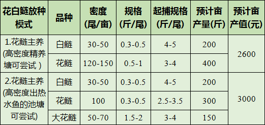 白鲢的养殖_花白鲢养殖技术视频_白鲢怎么养殖产量高