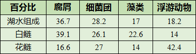 白鲢怎么养殖产量高_白鲢的养殖_花白鲢养殖技术视频