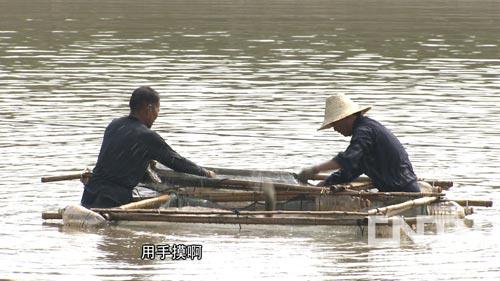 中央电视台致富经网_中央电视台致富经频道_中央致富电视台网址是多少