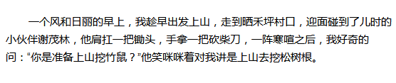 致富树根种植方法视频_种树致富经_树根种植致富