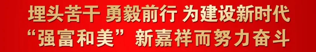 嘉祥县用牡丹带动“花经济” 立体种养殖助推乡村振兴