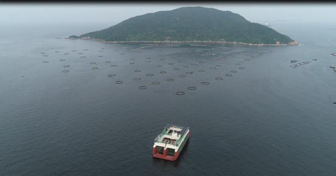 “澎湖号”上的黑科技——集波浪能发电、养殖、旅游、通讯为一体