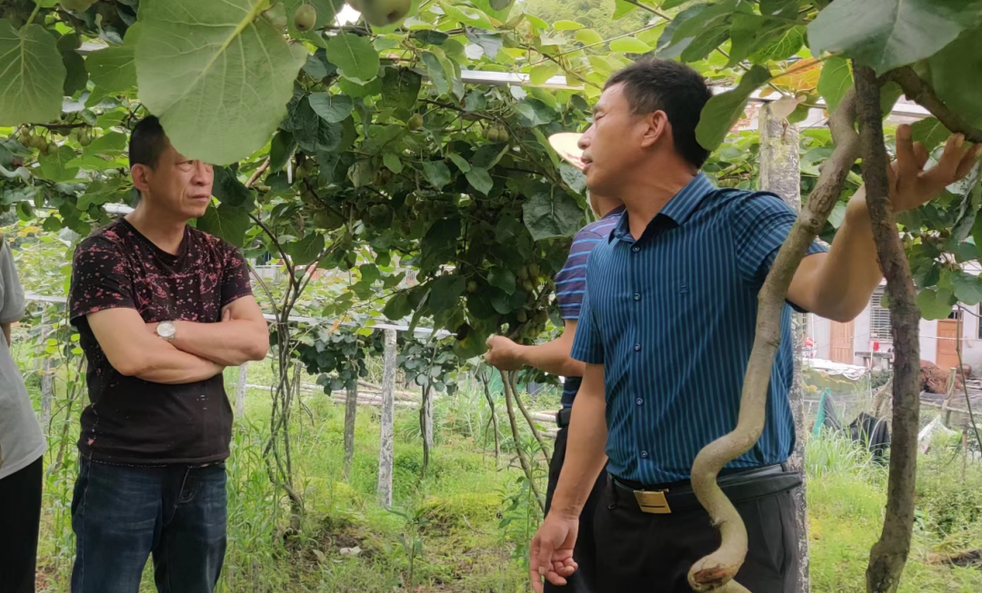农民播种小麦_种小麦挣钱吗_19岁农民工种植致富小麦