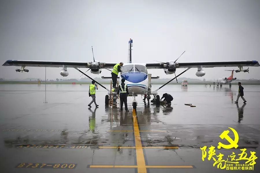 19岁农民工种植致富小麦_农民种植小麦的辛苦的过程_种小麦挣钱吗