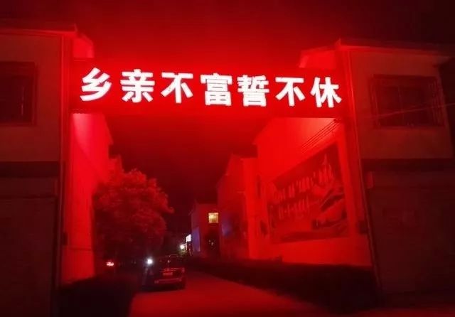 种植小麦有什么补贴_19岁农民工种植致富小麦_农民播种小麦