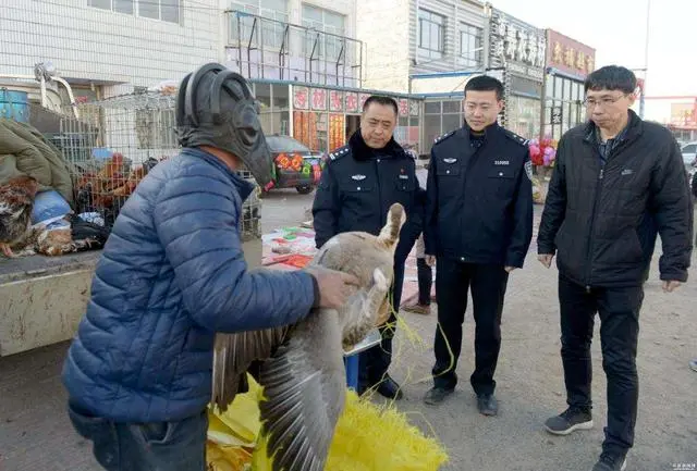 养殖牛蛙视频大全_致富经牛蛙养殖视频_视频致富养殖牛蛙是真的吗