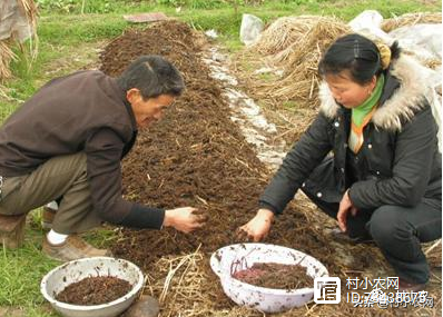 种养殖致富扶持_致富养殖业_致富养殖项目