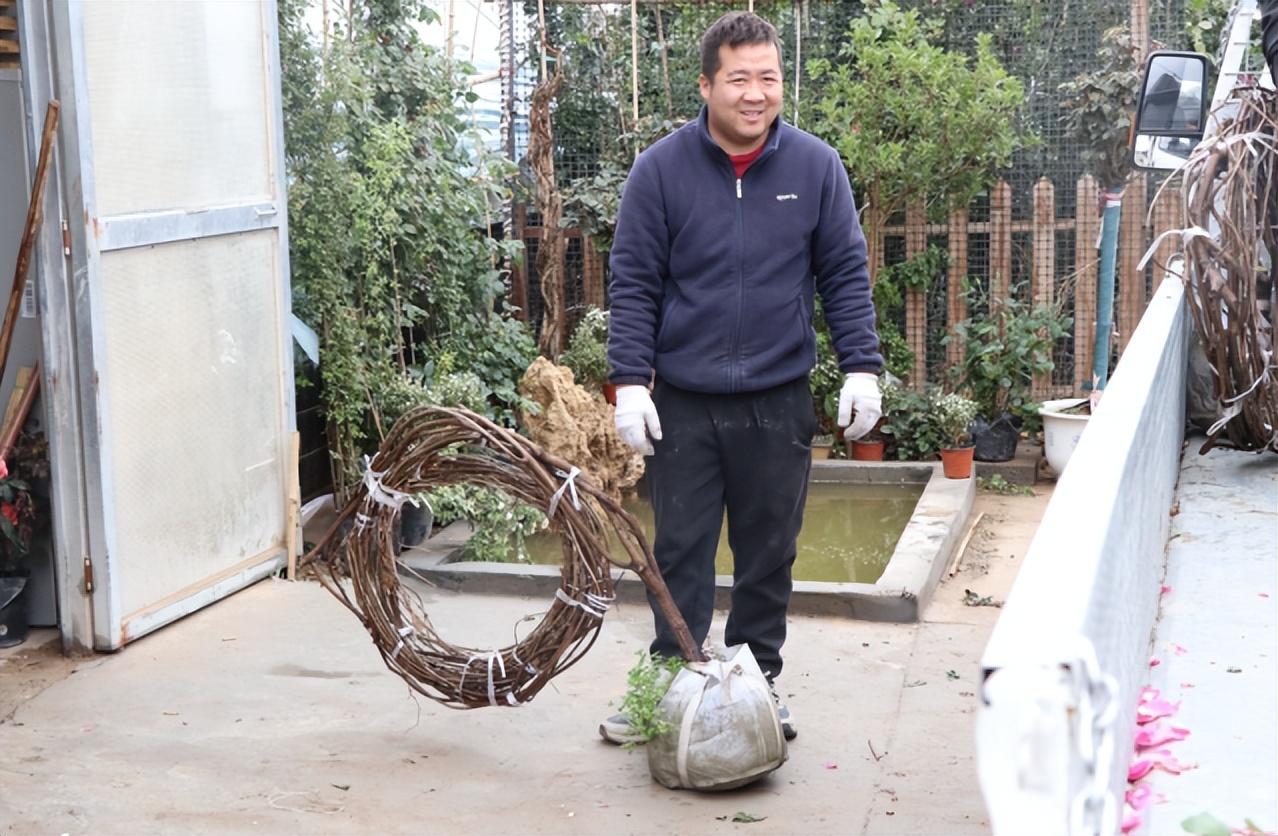 花卉大棚养殖致富_花卉致富养殖大棚怎么样_花卉种植大棚养花基地视频