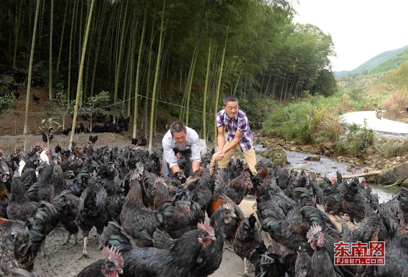 致富农业经_致富农业节目_农业致富经