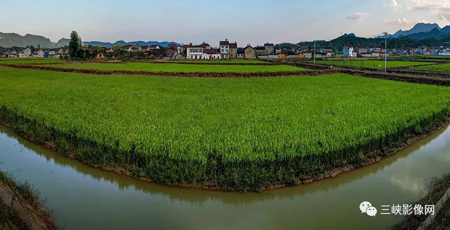 致富经养虾_养殖致富虾_致富经养殖虾