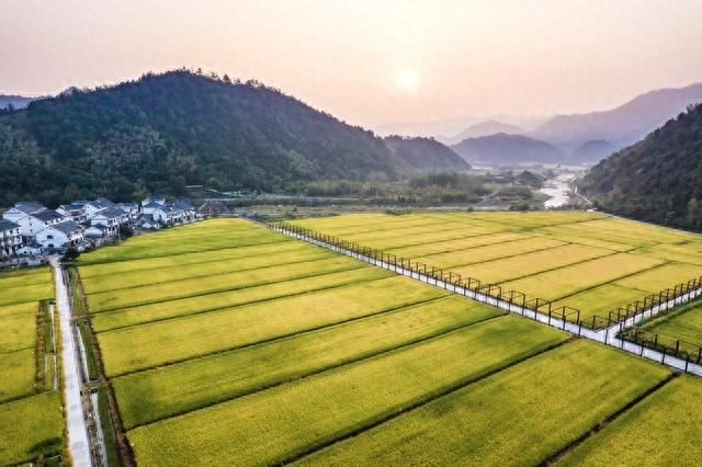 不再留守城市！返乡创业种田致富路线揭秘，五个农业项目等你来！