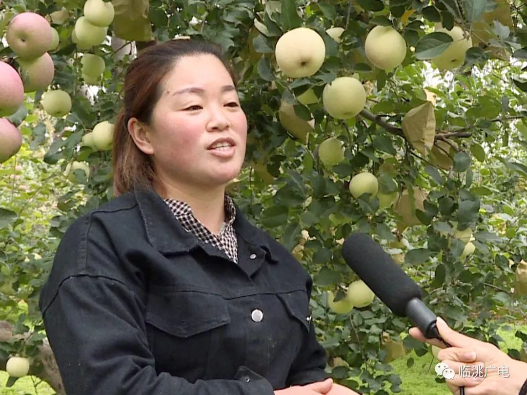 致富经桃树种植视频_养殖桃树_致富经 桃树