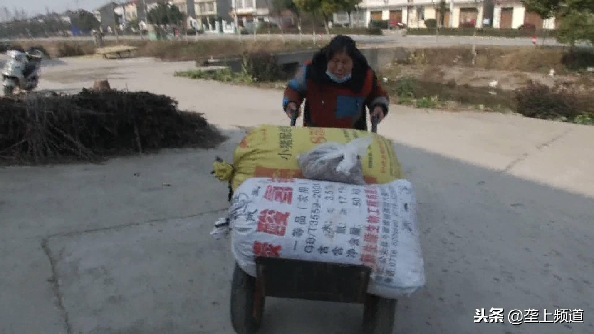 湖北荆州蔬菜种植基地_荆州种植致富_湖北荆州有什么致富项目