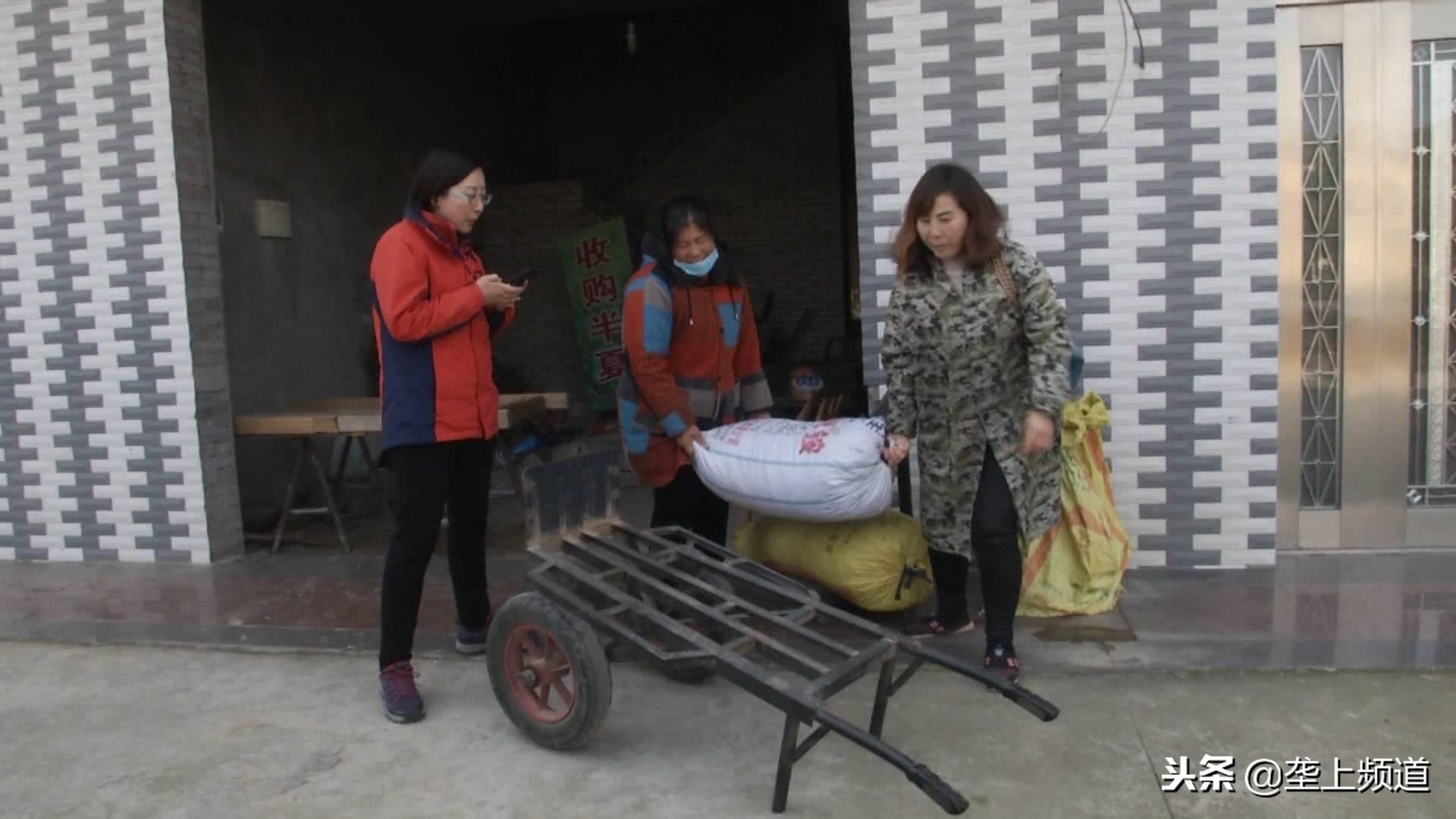 湖北荆州蔬菜种植基地_湖北荆州有什么致富项目_荆州种植致富