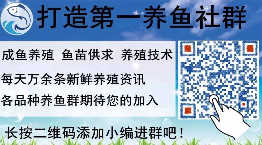 草鱼网箱养殖技术规程_水库网箱养殖草鱼技术_水库的网箱养草鱼技术视频