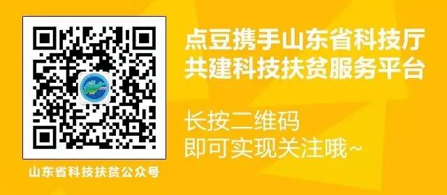 苦瓜种植技术大全_苦瓜种植大全技术图解_苦瓜种植大全技术与管理