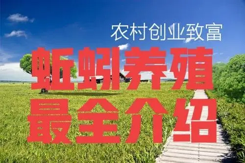 地龙养殖技术与利润_夏季地龙养殖致富_致富夏季养殖地龙视频