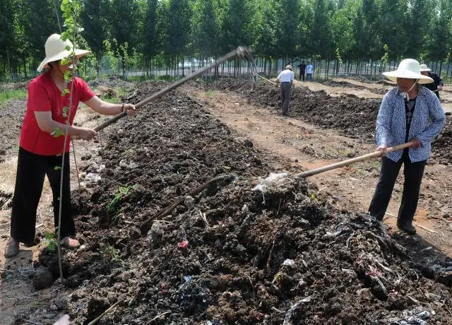 地龙养殖技术与利润_致富夏季养殖地龙视频_夏季地龙养殖致富