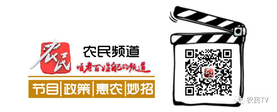 cctv7农业养殖致富频道_致富养殖频道农业频道直播_农业频道致富养殖