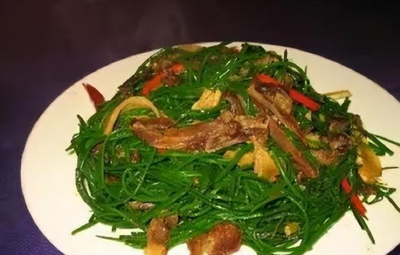 种植致富虫_致富经昆虫养殖_养虫致富